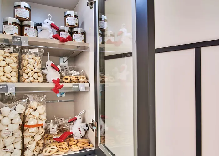 Otel Kyriad Direct Ouest - Zenith Strazburg